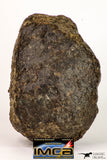 08999 - Almost Complete NWA Unclassified Ordinary Chondrite Meteorite 584.7 g