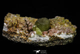 20864 - Lustrous Yellow Green Apatite Crystals on Feldspar Matrix - Imilchil (Morocco)