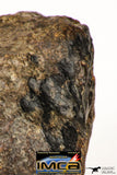 08999 - Almost Complete NWA Unclassified Ordinary Chondrite Meteorite 584.7 g