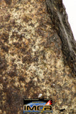 08999 - Almost Complete NWA Unclassified Ordinary Chondrite Meteorite 584.7 g