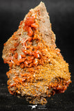 06262 -  Beautiful Red Vanadinite Crystals Cluster from Mibladen Mining District, Midelt Province, Morocco