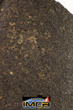 09000 - Almost Complete Oriented NWA Unclassified Ordinary Chondrite Meteorite 1079.4g