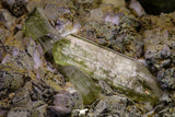 20864 - Lustrous Yellow Green Apatite Crystals on Feldspar Matrix - Imilchil (Morocco)