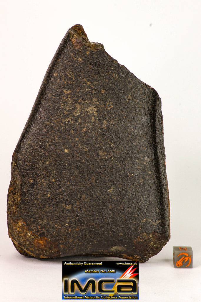09000 - Almost Complete Oriented NWA Unclassified Ordinary Chondrite Meteorite 1079.4g