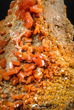 06262 -  Beautiful Red Vanadinite Crystals Cluster from Mibladen Mining District, Midelt Province, Morocco