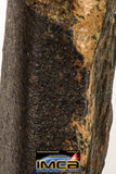 09000 - Almost Complete Oriented NWA Unclassified Ordinary Chondrite Meteorite 1079.4g