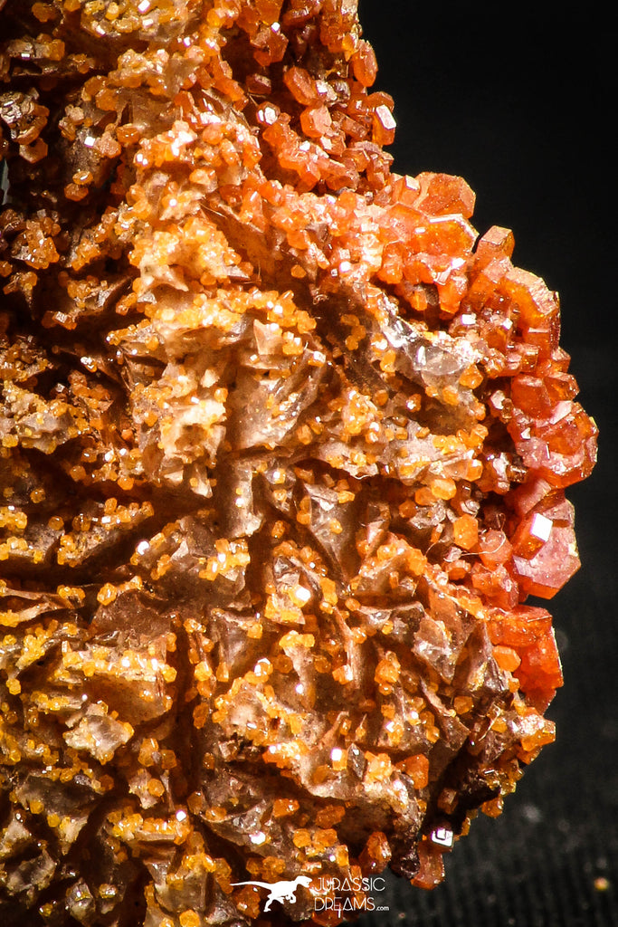 06263 -  Beautiful Red Vanadinite Crystals Cluster from Mibladen Mining District, Midelt Province, Morocco