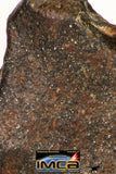 09001 - Almost Complete NWA Unclassified Ordinary Chondrite Meteorite 317.4 g