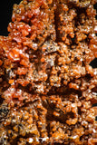 06263 -  Beautiful Red Vanadinite Crystals Cluster from Mibladen Mining District, Midelt Province, Morocco