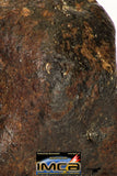 09001 - Almost Complete NWA Unclassified Ordinary Chondrite Meteorite 317.4 g