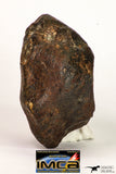 09001 - Almost Complete NWA Unclassified Ordinary Chondrite Meteorite 317.4 g