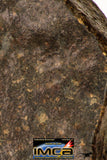09002 - Almost Complete NWA Unclassified Ordinary Chondrite Meteorite 538.4 g