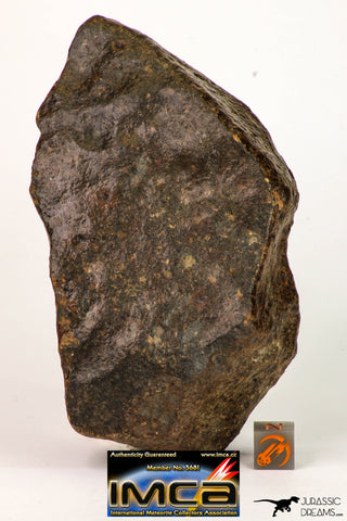 09002 - Almost Complete NWA Unclassified Ordinary Chondrite Meteorite 538.4 g