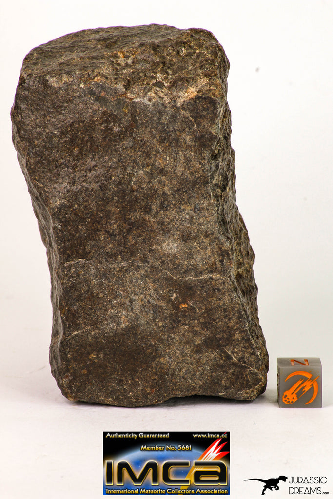 09003 - Almost Complete NWA Unclassified Ordinary Chondrite Meteorite 522.1 g