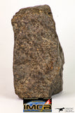 09003 - Almost Complete NWA Unclassified Ordinary Chondrite Meteorite 522.1 g