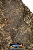 09004 - Almost Complete NWA Unclassified Ordinary Chondrite Meteorite 368.1 g