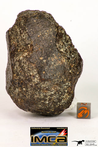 09004 - Almost Complete NWA Unclassified Ordinary Chondrite Meteorite 368.1 g
