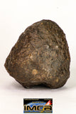 09005 - Almost Complete NWA Unclassified Ordinary Chondrite Meteorite 343.7 g