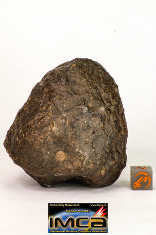 09005 - Almost Complete NWA Unclassified Ordinary Chondrite Meteorite 343.7 g