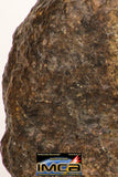 09005 - Almost Complete NWA Unclassified Ordinary Chondrite Meteorite 343.7 g