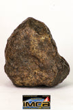 09005 - Almost Complete NWA Unclassified Ordinary Chondrite Meteorite 343.7 g