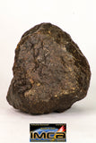 09005 - Almost Complete NWA Unclassified Ordinary Chondrite Meteorite 343.7 g