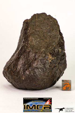 09006 - Almost Complete NWA Unclassified Ordinary Chondrite Meteorite 428.6 g