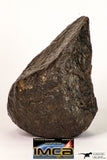 09006 - Almost Complete NWA Unclassified Ordinary Chondrite Meteorite 428.6 g