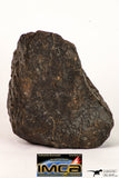 09006 - Almost Complete NWA Unclassified Ordinary Chondrite Meteorite 428.6 g