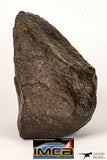 09006 - Almost Complete NWA Unclassified Ordinary Chondrite Meteorite 428.6 g