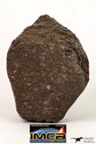 09007 - Almost Complete NWA Unclassified Ordinary Chondrite Meteorite 375.6 g