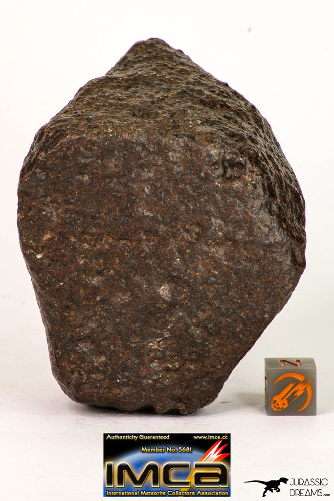 09007 - Almost Complete NWA Unclassified Ordinary Chondrite Meteorite 375.6 g