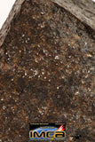 09007 - Almost Complete NWA Unclassified Ordinary Chondrite Meteorite 375.6 g