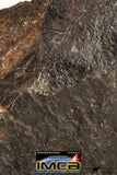 09008 - Almost Complete NWA Unclassified Ordinary Chondrite Meteorite 457.2 g
