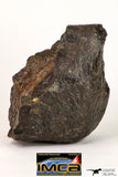 09008 - Almost Complete NWA Unclassified Ordinary Chondrite Meteorite 457.2 g