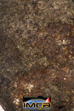 09008 - Almost Complete NWA Unclassified Ordinary Chondrite Meteorite 457.2 g