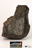 09008 - Almost Complete NWA Unclassified Ordinary Chondrite Meteorite 457.2 g