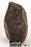 09008 - Almost Complete NWA Unclassified Ordinary Chondrite Meteorite 457.2 g