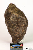 09009 - Almost Complete NWA Unclassified Ordinary Chondrite Meteorite 467.1 g