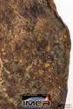 09010 - Almost Complete NWA Unclassified Ordinary Chondrite Meteorite 231.3 g