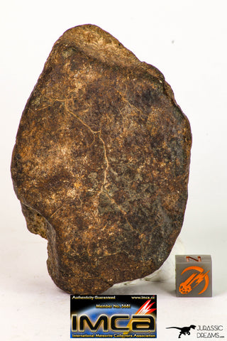 09010 - Almost Complete NWA Unclassified Ordinary Chondrite Meteorite 231.3 g