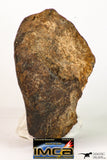 09010 - Almost Complete NWA Unclassified Ordinary Chondrite Meteorite 231.3 g