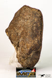 09010 - Almost Complete NWA Unclassified Ordinary Chondrite Meteorite 231.3 g