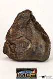 09011 - Almost Complete NWA Unclassified Ordinary Chondrite Meteorite 258.3 g