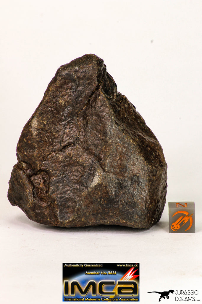 09011 - Almost Complete NWA Unclassified Ordinary Chondrite Meteorite 258.3 g