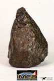 09011 - Almost Complete NWA Unclassified Ordinary Chondrite Meteorite 258.3 g