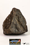 09011 - Almost Complete NWA Unclassified Ordinary Chondrite Meteorite 258.3 g