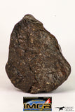 09011 - Almost Complete NWA Unclassified Ordinary Chondrite Meteorite 258.3 g