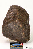 09012 - Almost Complete NWA Unclassified Ordinary Chondrite Meteorite 167 g