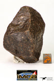09012 - Almost Complete NWA Unclassified Ordinary Chondrite Meteorite 167 g